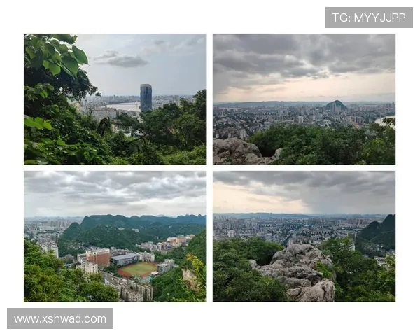 上海排球队在联合会杯中的辉煌历程与突破成就全景回顾