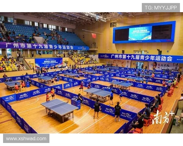 广州乒乓球队的奋斗历程与辉煌成就全景回顾