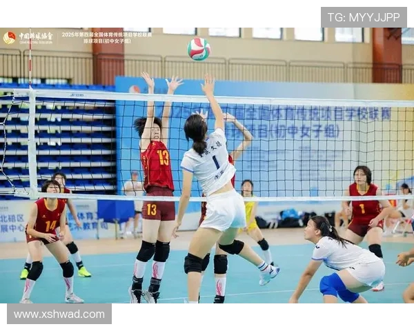 武汉排球队在全国排球速度排行榜中荣登第七名展现出强劲实力与潜力