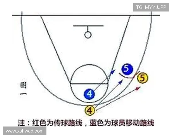 科学篮球战术训练方法的全面解析与实战应用技巧探讨