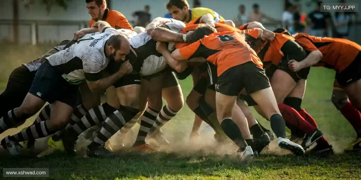 🎯 专业装备,助力突破极限!💪 每一次挥拍,都是精准的胜利!